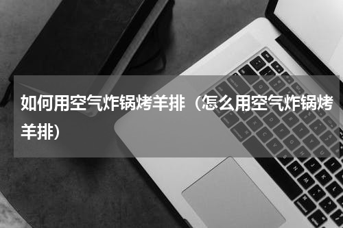 如何用空气炸锅烤羊排（怎么用空气炸锅烤羊排）