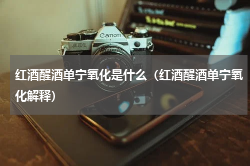 红酒醒酒单宁氧化是什么（红酒醒酒单宁氧化解释）