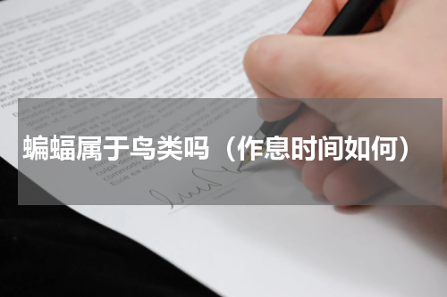 蝙蝠属于鸟类吗（作息时间如何）