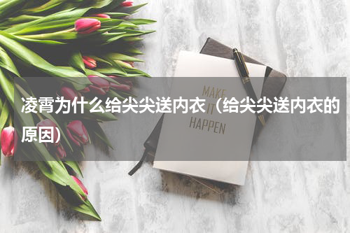 凌霄为什么给尖尖送内衣（给尖尖送内衣的原因）