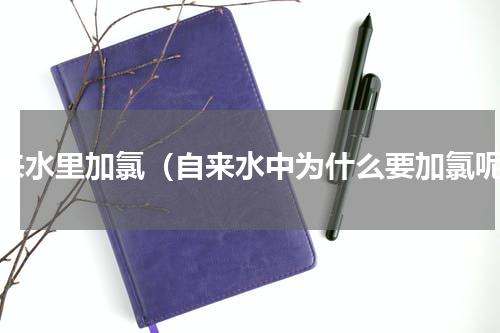 自来水里加氯（自来水中为什么要加氯呢）
