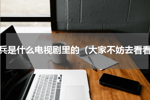 卫兵是什么电视剧里的（大家不妨去看看）