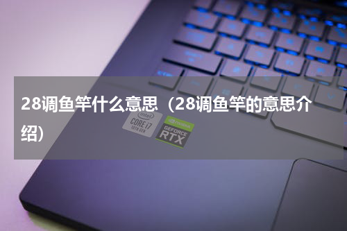 28调鱼竿什么意思（28调鱼竿的意思介绍）