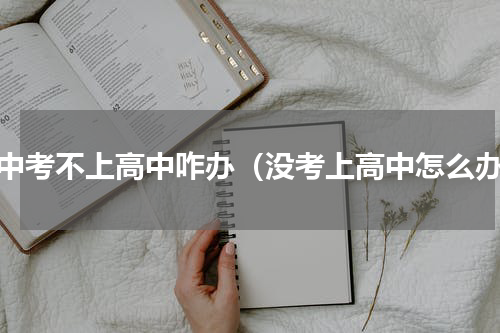 初中考不上高中咋办（没考上高中怎么办）