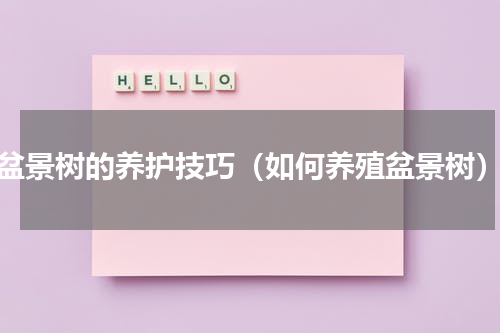 盆景树的养护技巧（如何养殖盆景树）