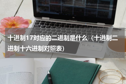 十进制17对应的二进制是什么（十进制二进制十六进制对照表）
