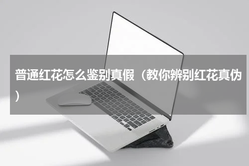 普通红花怎么鉴别真假（教你辨别红花真伪）