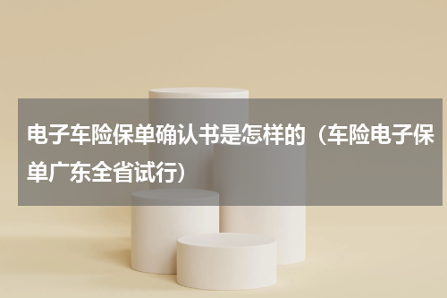 电子车险保单确认书是怎样的（车险电子保单广东全省试行）