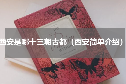 西安是哪十三朝古都（西安简单介绍）