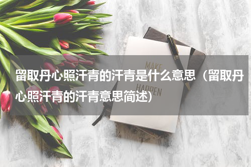 留取丹心照汗青的汗青是什么意思（留取丹心照汗青的汗青意思简述）