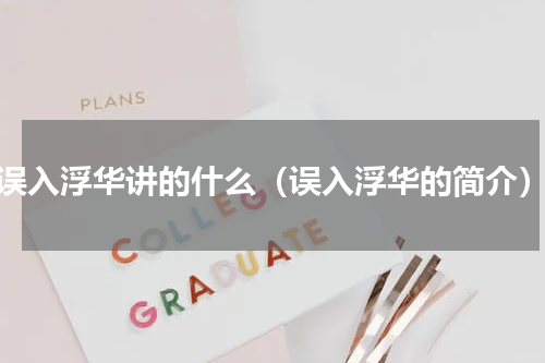 误入浮华讲的什么（误入浮华的简介）