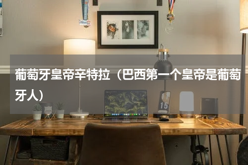 葡萄牙皇帝辛特拉（巴西第一个皇帝是葡萄牙人）