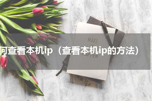 如何查看本机ip（查看本机ip的方法）