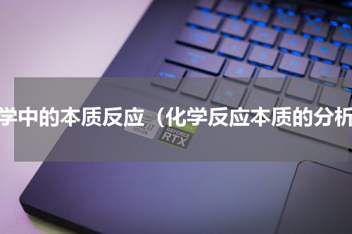 化学中的本质反应（化学反应本质的分析）
