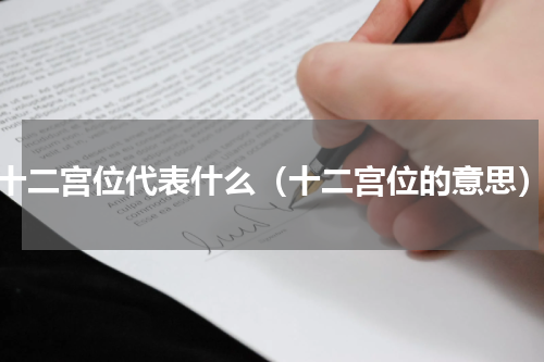 十二宫位代表什么（十二宫位的意思）