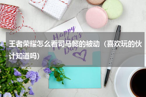 王者荣耀怎么看司马懿的被动（喜欢玩的伙计知道吗）