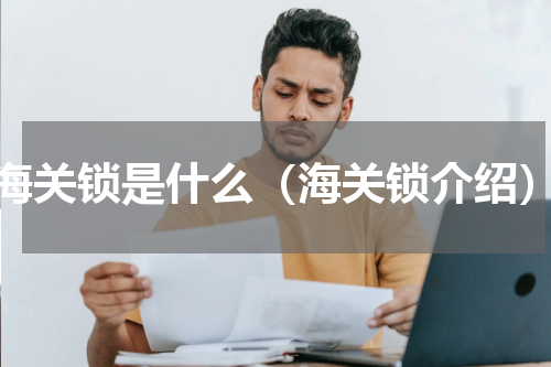 海关锁是什么（海关锁介绍）
