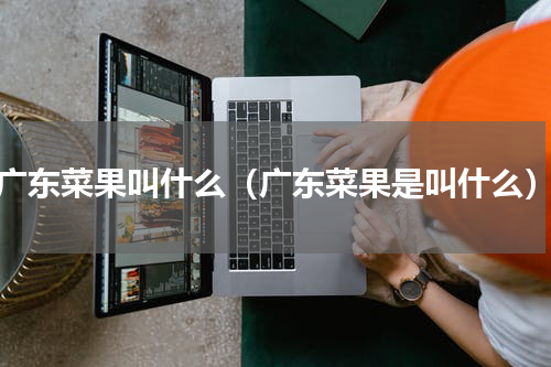 广东菜果叫什么（广东菜果是叫什么）