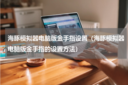 海豚模拟器电脑版金手指设置（海豚模拟器电脑版金手指的设置方法）