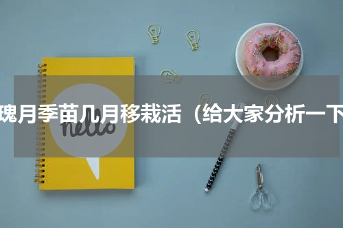 玫瑰月季苗几月移栽活（给大家分析一下）