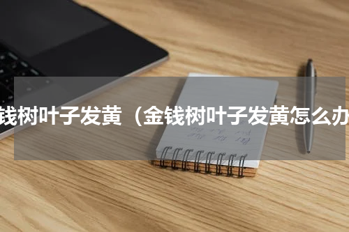 金钱树叶子发黄（金钱树叶子发黄怎么办）