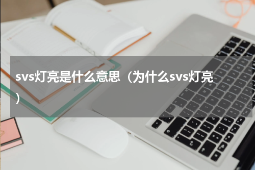 svs灯亮是什么意思（为什么svs灯亮）