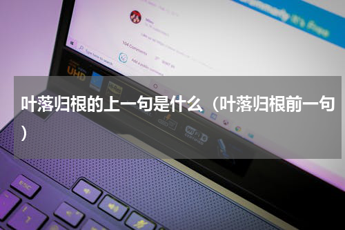 叶落归根的上一句是什么（叶落归根前一句）