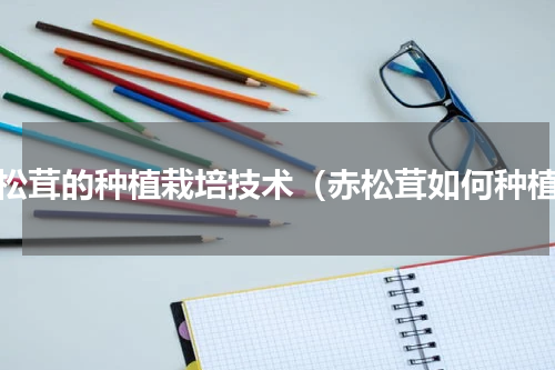 赤松茸的种植栽培技术（赤松茸如何种植）