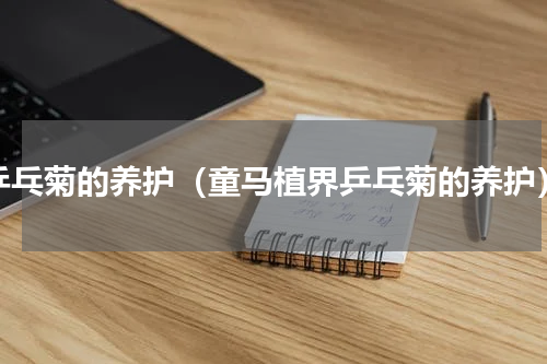 乒乓菊的养护（童马植界乒乓菊的养护）