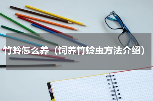 竹蛉怎么养（饲养竹蛉虫方法介绍）