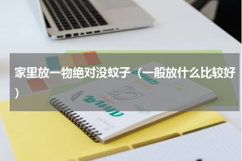 家里放一物绝对没蚊子（一般放什么比较好）
