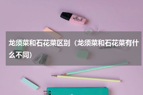 龙须菜和石花菜区别（龙须菜和石花菜有什么不同）