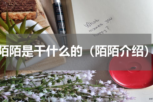 陌陌是干什么的（陌陌介绍）