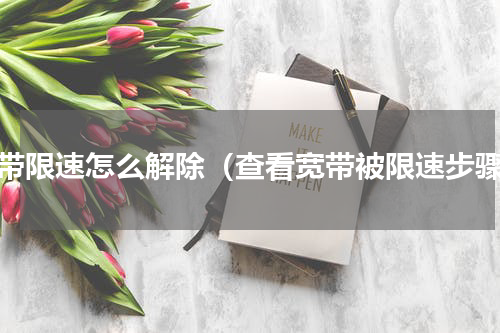 宽带限速怎么解除（查看宽带被限速步骤）