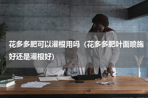 花多多肥可以灌根用吗（花多多肥叶面喷施好还是灌根好）