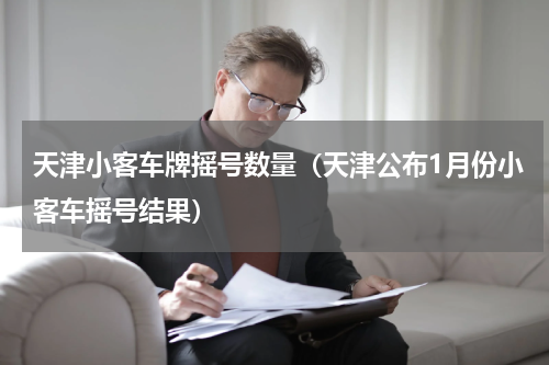 天津小客车牌摇号数量（天津公布1月份小客车摇号结果）