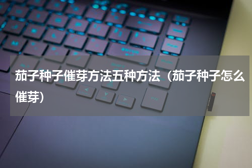 茄子种子催芽方法五种方法（茄子种子怎么催芽）