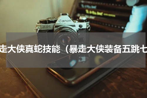 暴走大侠真蛇技能（暴走大侠装备五跳七）