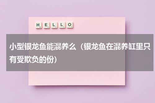 小型银龙鱼能混养么（银龙鱼在混养缸里只有受欺负的份）