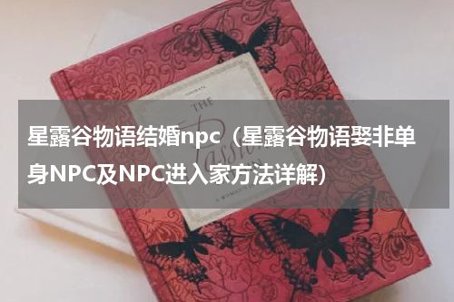 星露谷物语结婚npc（星露谷物语娶非单身NPC及NPC进入家方法详解）