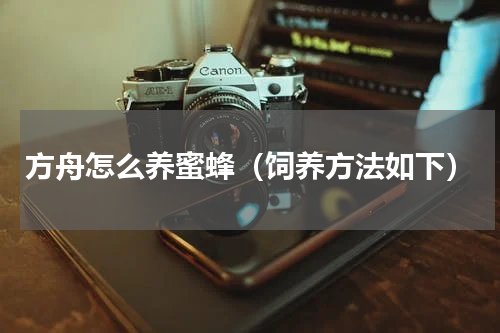方舟怎么养蜜蜂（饲养方法如下）