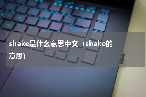 shake是什么意思中文（shake的意思）
