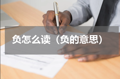 负怎么读（负的意思）