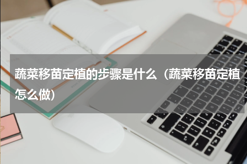蔬菜移苗定植的步骤是什么（蔬菜移苗定植怎么做）