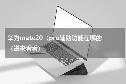 华为mate20（pro辅助功能在哪的（进来看看）