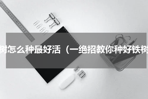 铁树怎么种最好活（一绝招教你种好铁树）
