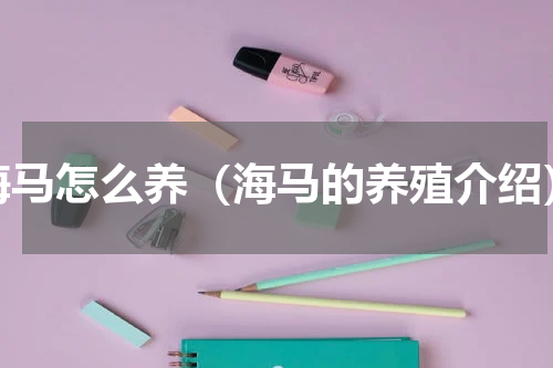 海马怎么养（海马的养殖介绍）