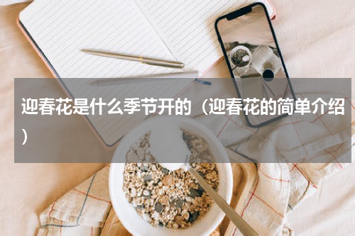 迎春花是什么季节开的（迎春花的简单介绍）
