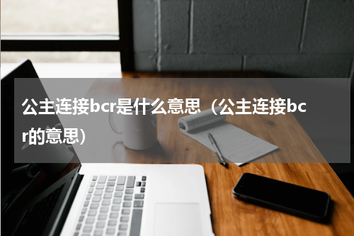 公主连接bcr是什么意思（公主连接bcr的意思）