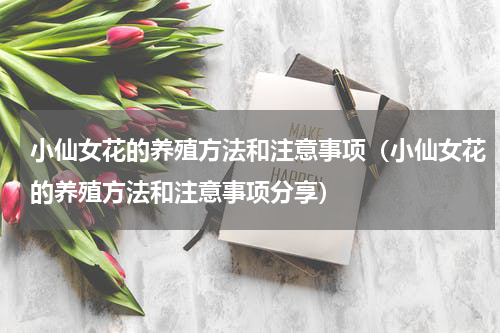 小仙女花的养殖方法和注意事项（小仙女花的养殖方法和注意事项分享）